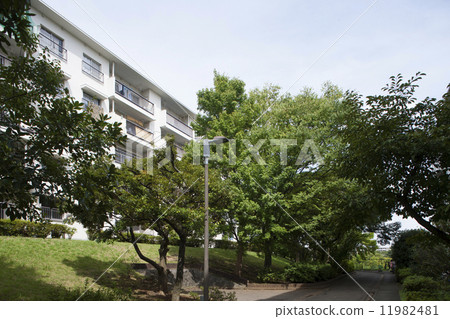 Tama Plaza Complex Kanagawa Prefecture 11982481