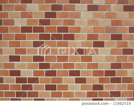 Tile Wall Tile Wall 11982519