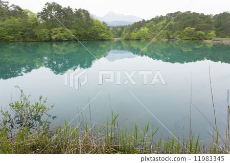 Ginzanuma Bishamon Swamp 11983345