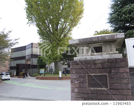 埼玉縣浦和高中 11983483