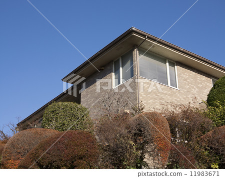 Housing on the hill Housing on the hill 11983671