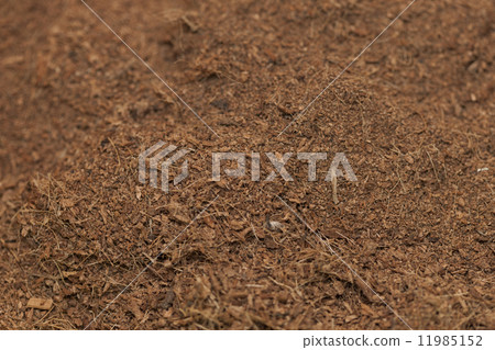 棕櫚泥炭園藝 11985152