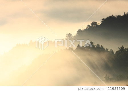 Dawn of Kii mountains 11985309