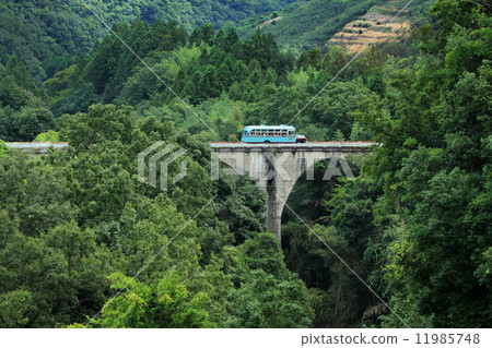 帽子巴士 11985748