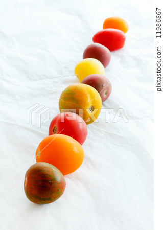 color tomatoes color tomatoes 11986867