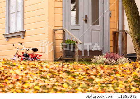 autumn autumn 11986982