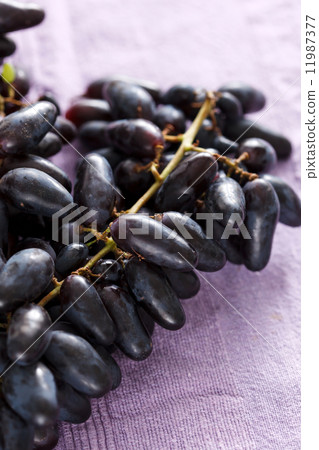 blue grapes blue grapes 11987377