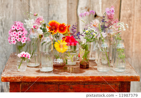 nice flowers in the bottles nice flowers in the bottles 11987379
