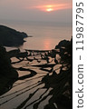 Rice terrace sunset at Hamanoura in Genkai Town 11987795