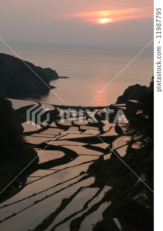 Rice terrace sunset at Hamanoura in Genkai Town Rice terrace sunset at Hamanoura in Genkai Town 11987795