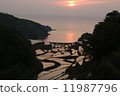 Rice terrace sunset at Hamanoura in Genkai Town 11987796