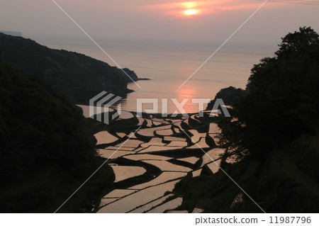 Rice terrace sunset at Hamanoura in Genkai Town Rice terrace sunset at Hamanoura in Genkai Town 11987796