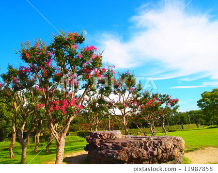 scenery scenery 11987858