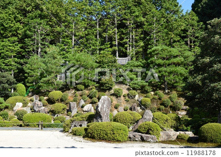 東福寺花園 東福寺花園 11988178