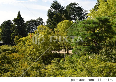 東福寺 11988179