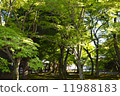 花園東福寺 11988183