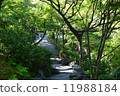 一個花園 11988184