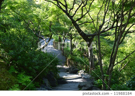一個花園 一個花園 11988184