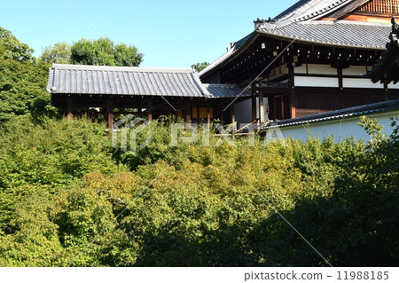 東福寺 東福寺 11988185