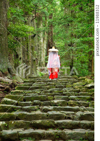 Kumano Kodo 11988312