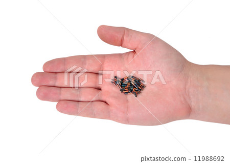 hand holding id hand holding id 11988692