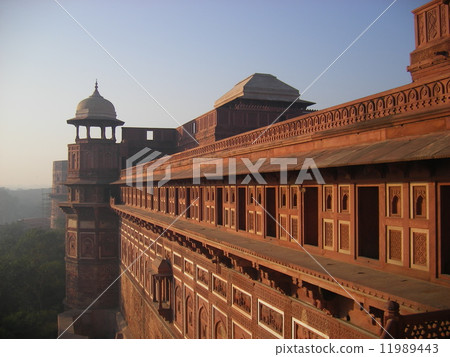 Wall of Agra Fort of India 11989443