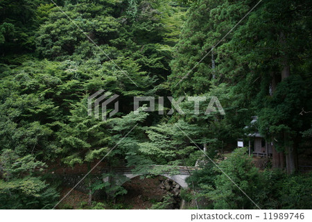 Ooyama Akira Shrine double company 11989746