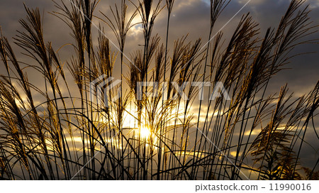 Invitation series for autumn 11990016