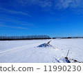Snow scene 11990230