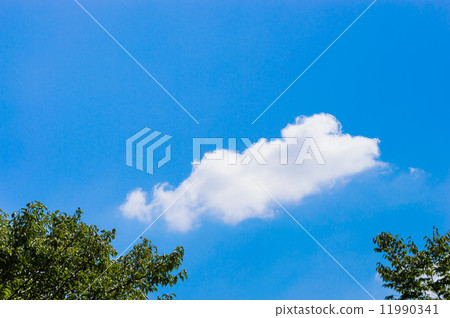 閃亮的雲彩 11990341