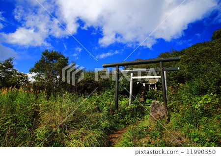 在長野縣的Iimoriyama的鳥居 在長野縣的Iimoriyama的鳥居 11990350