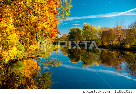 Picturesque autumn landscape. Riga, Latvia 11991035