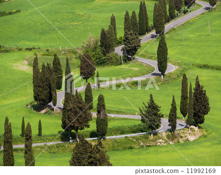 Italy, Tustany typical road Italy, Tustany typical road 11992169