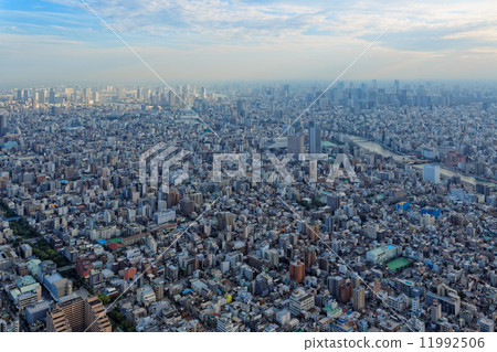 在黃昏的城市景觀 11992506