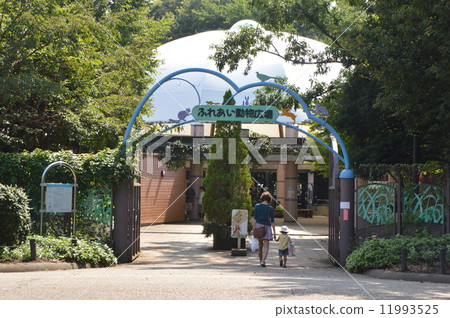 相模原健身房公園神奈川縣的秋天 11993525