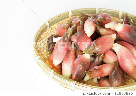 It was taken and myoga 11993680