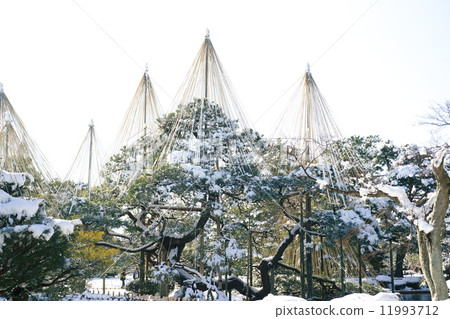 Scenic view of Japan Kenrokuen Scenic view of Japan Kenrokuen 11993712