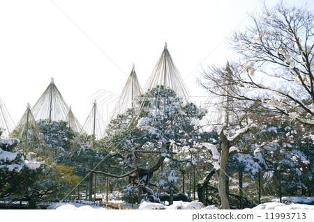 Scenic view of Japan Kenrokuen Scenic view of Japan Kenrokuen 11993713
