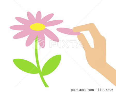 花的財富 11993896