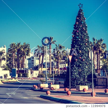 Christmas tree outdoors 11994978