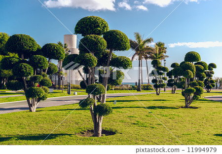 Battery Park (Parque La Bateria), Torremolinos. Spain 11994979