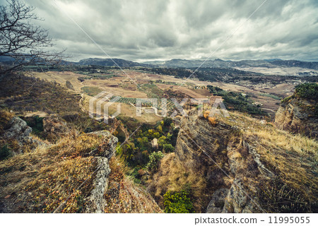 Ronda Ronda 11995055