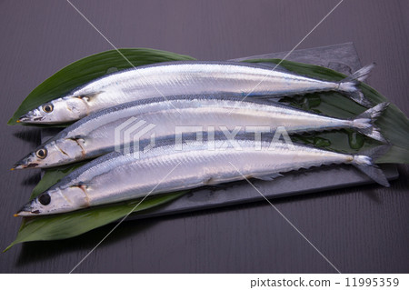 pike 11995359