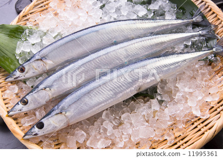 秋天的香魚 秋天的香魚 11995361