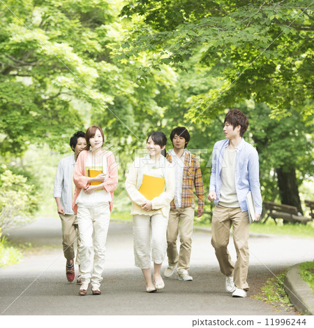 University students walking in the fresh green University students walking in the fresh green 11996244
