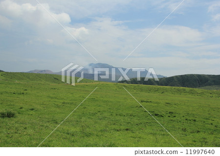 Aso Grass Sengahamahama Aso Grass Sengahamahama 11997640