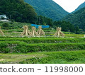Yosukehade (Nishida, Oota-shi, Shimane prefecture) "Shimane's 60 Sceneries" "Japan's Rice-making Village 100 Choice" "Autumn Festival" 11998000