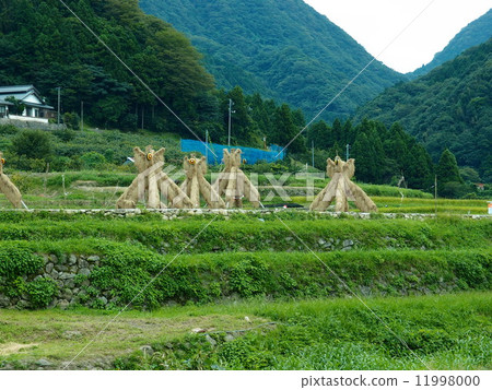 Yosukehade(島根縣大田市西田)“島根60景”“日本製米村100選”“秋節” Yosukehade(島根縣大田市西田)“島根60景”“日本製米村100選”“秋節” 11998000
