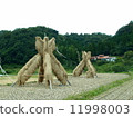 Yosukehade (Nishida, Oota-shi, Shimane prefecture) "Shimane's 60 Sceneries" "Japan's Rice-making Village 100 Choice" "Autumn Festival" 11998003