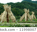Yosukehade (Nishida, Oota-shi, Shimane prefecture) "Shimane's 60 Sceneries" "Japan's Rice-making Village 100 Choice" "Autumn Festival" 11998007